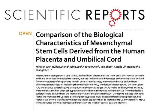 Nature子刊：不同来源间充质干细胞生物学特性存在差异