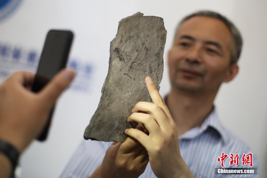 中美科学家在中国发现已知最古老足迹化石